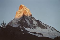 Sal_021